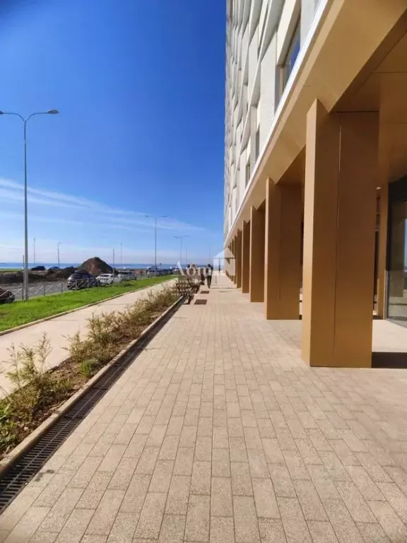 Помещение свободного назначения в Санкт-Петербург ул. Челюскина, 10 ... - Фото 2