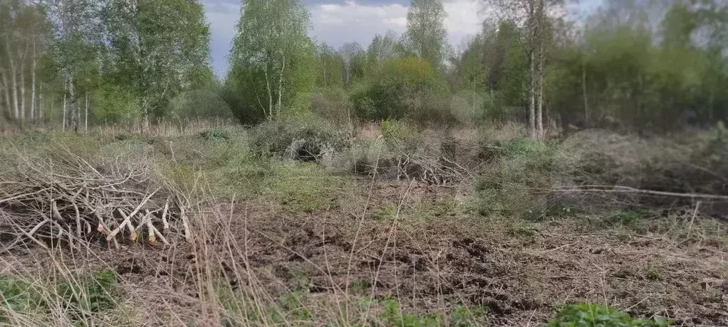Участок 20 сот. (СНТ, ДНП) - Фото 1