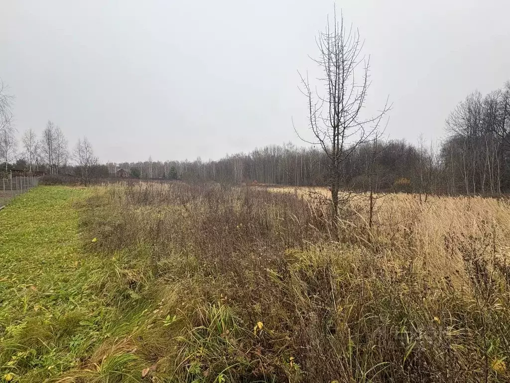 Участок в Калужская область, Боровский муниципальный округ, Совьяки ... - Фото 2