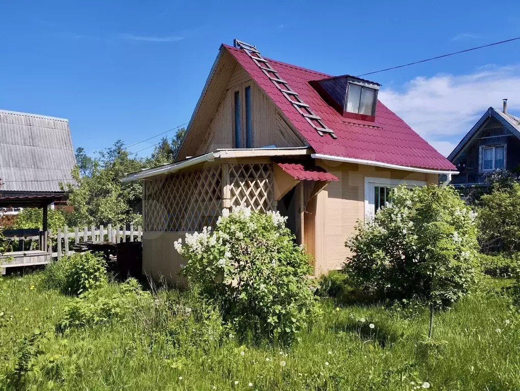 Дача 25 м на участке 5 сот. - Фото 0