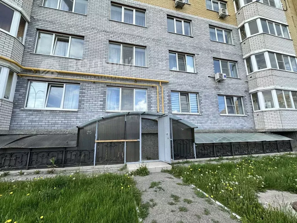 Помещение свободного назначения в Чувашия, Чебоксары Университетская ... - Фото 0