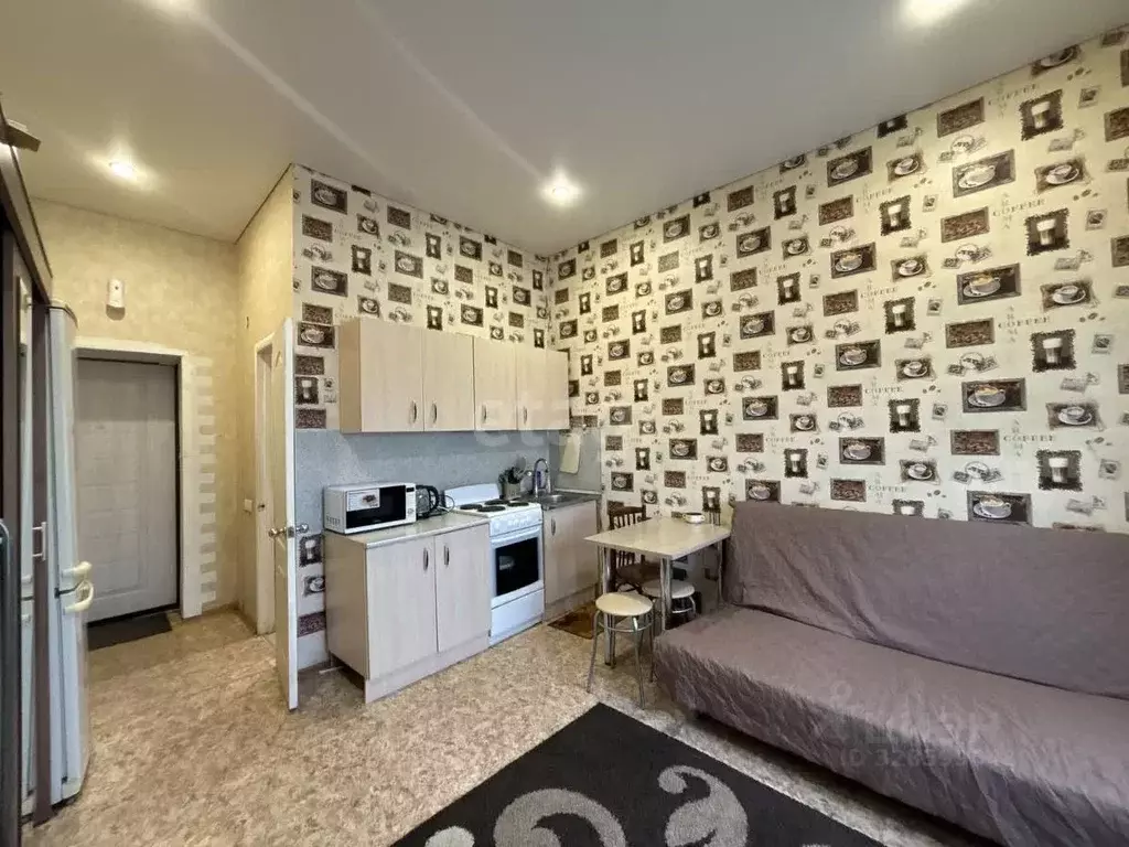 Студия Татарстан, Казань Агрызская ул., 78 (18.0 м) - Фото 1