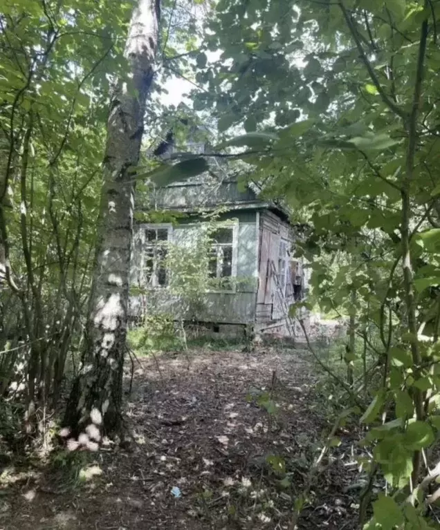 Участок в Московская область, Клин городской округ, Рассвет СНТ ул. ... - Фото 1