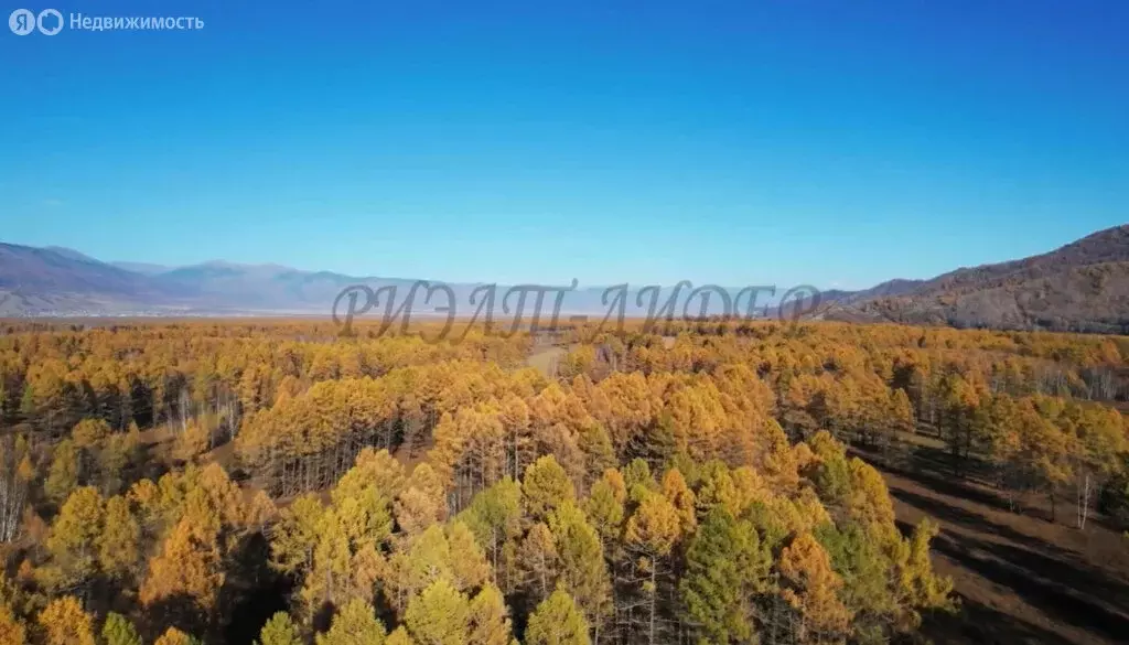 Участок в Усть-Коксинский район, село Усть-Кокса (8 м) - Фото 1