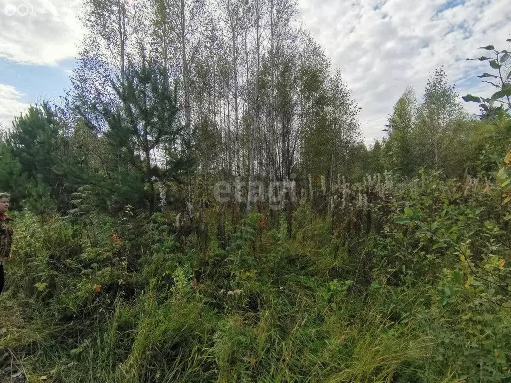 Участок в Томск, садовое товарищество Урожай-Д (6 м) - Фото 1