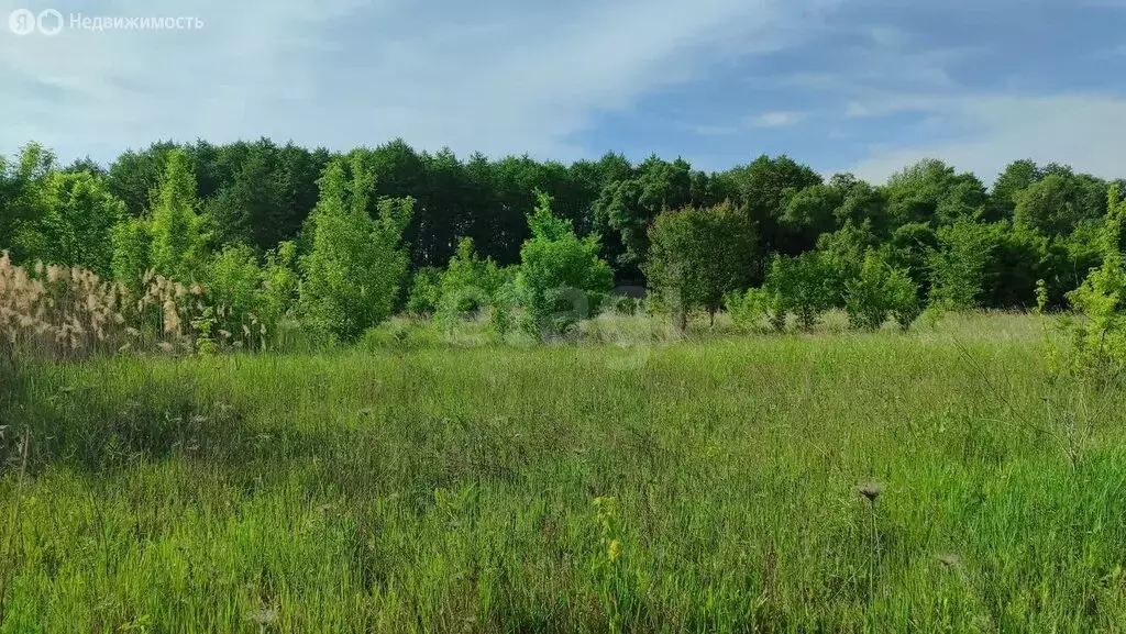 Участок в село Нижний Ольшанец, Нижняя улица (26.96 м) - Фото 1