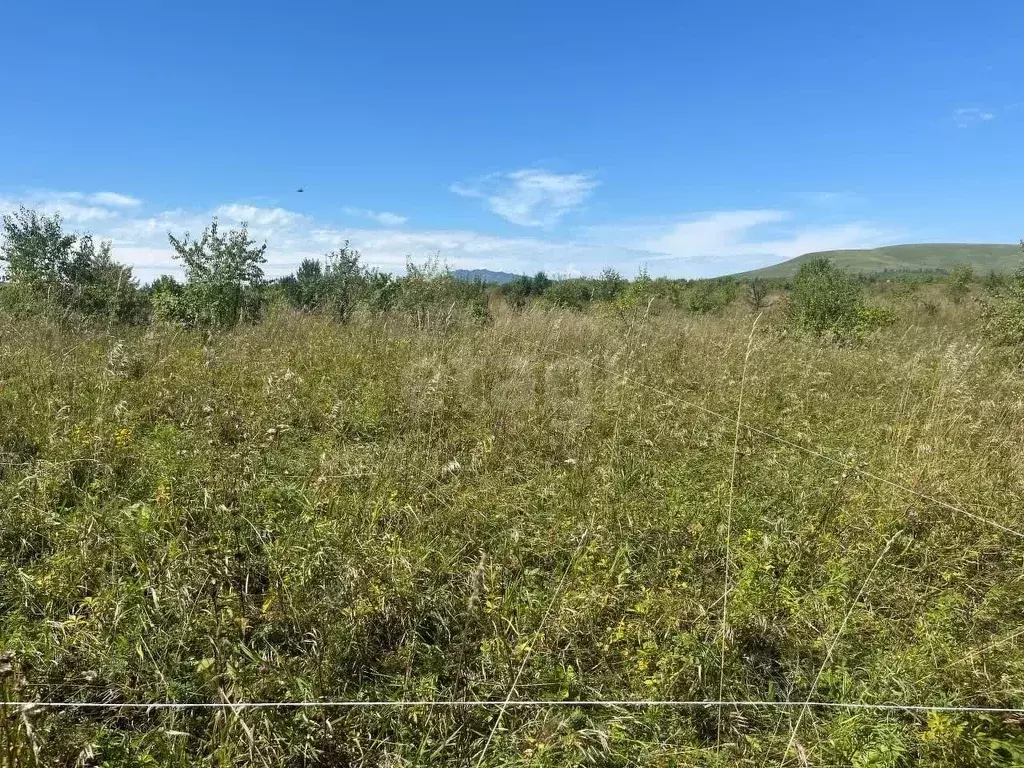 Участок в Алтайский край, Алтайский район, Айский сельсовет, ... - Фото 0
