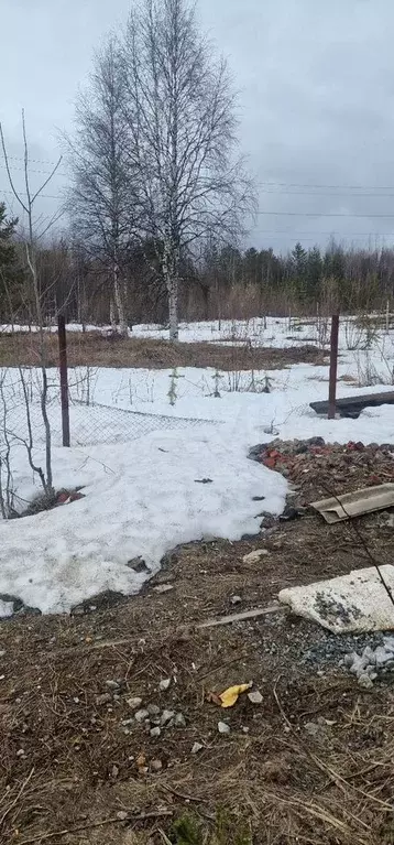 Участок 10 сот. (ИЖС) - Фото 0