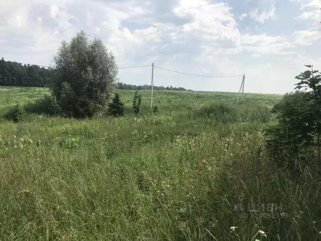 Участок в Московская область, Истра муниципальный округ, д. Кучи  ... - Фото 0