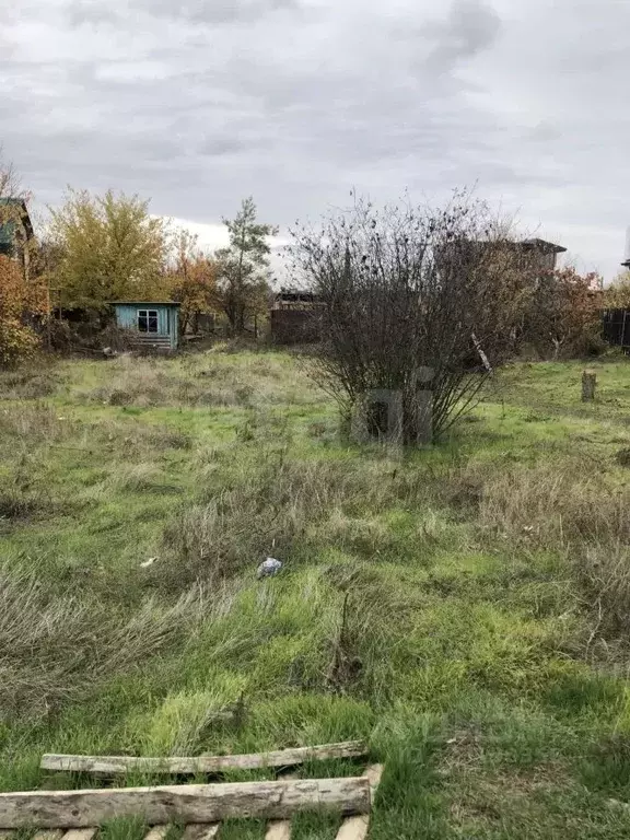 Участок в Ростовская область, Ростов-на-Дону Защитник садовое ... - Фото 2