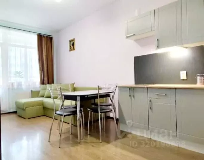 Студия Санкт-Петербург аллея Арцеуловская, 23к1 (23.5 м) - Фото 0