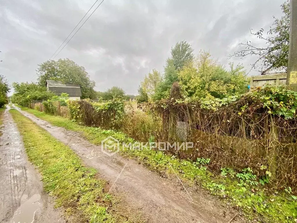 Участок в Брянская область, Брянский район, Снежское с/пос, пос. ... - Фото 2