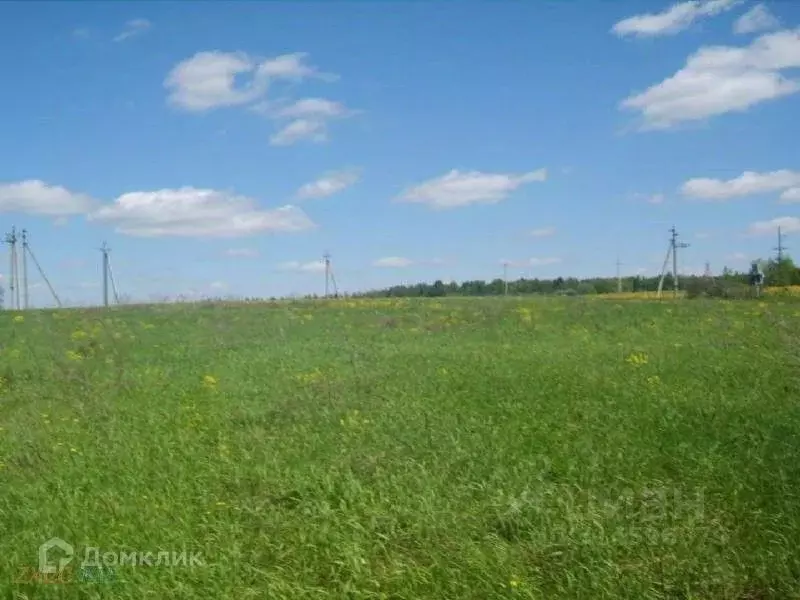 Участок в Татарстан, Лаишевский район, Чирповское с/пос, Богородский ... - Фото 0