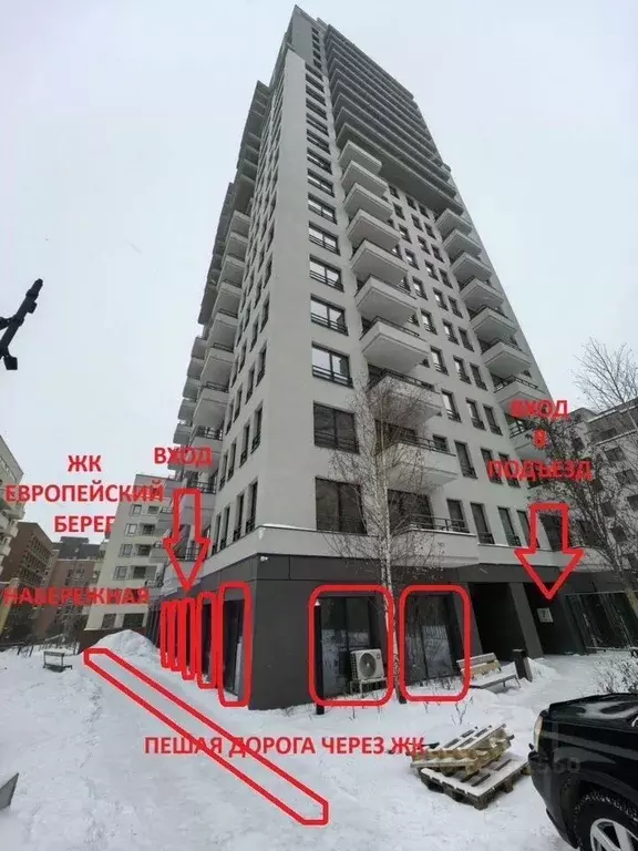 Помещение свободного назначения в Новосибирская область, Новосибирск ... - Фото 1