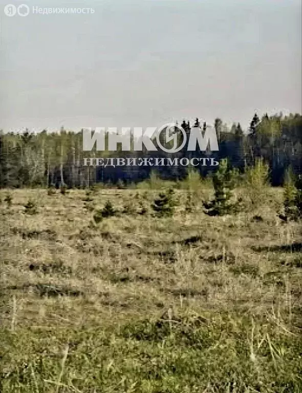 Участок в Московская область, городской округ Клин, деревня Жестоки, ... - Фото 2