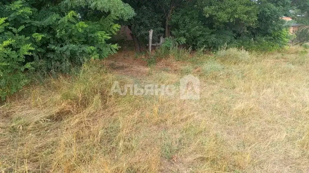 Участок в Краснодарский край, Усть-Лабинский район, Братское с/пос, ... - Фото 1