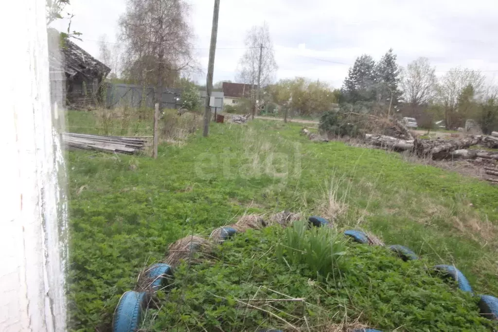 Дом в Вологодская область, Шекснинский муниципальный округ, деревня ... - Фото 2