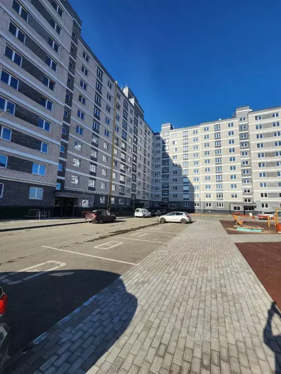 1-к кв. Псковская область, Псков ул. Ижорского Батальона, 41 (39.7 м) - Фото 2