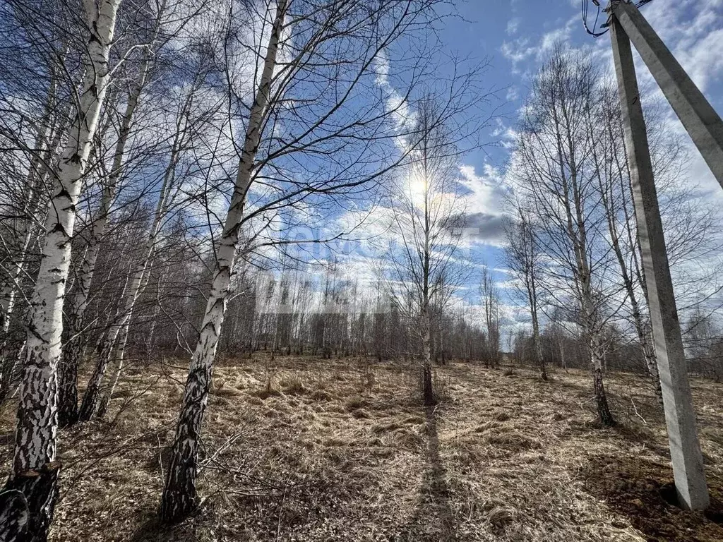 Участок в Челябинская область, с. Кунашак ул. Родниковая, 47 (12.0 ... - Фото 1