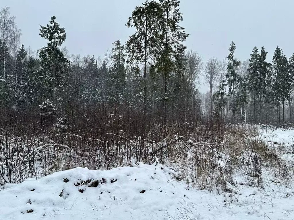 Участок в Московская область, Пушкинский городской округ, д. Могильцы  ... - Фото 0