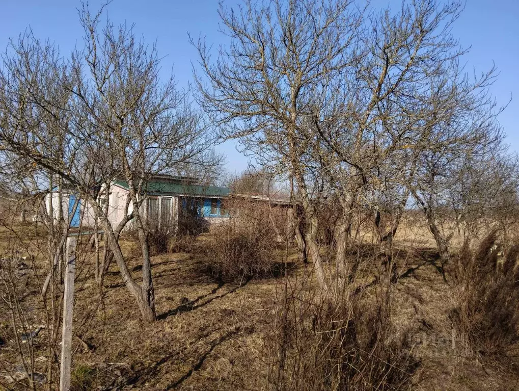 Дом в Псковская область, Псковский муниципальный район, Краснопрудская ... - Фото 2