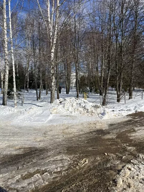 2-к кв. Московская область, Рузский городской округ, д. Сытьково 6 ... - Фото 1