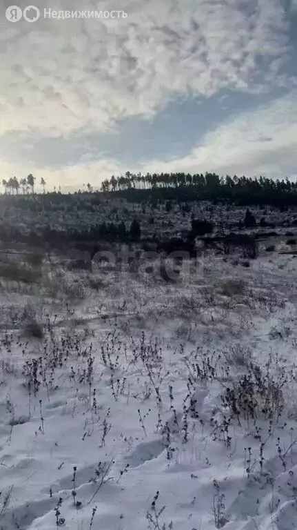 Участок в село Сотниково, СНТ Багульник, 3-й квартал (6.06 м) - Фото 2