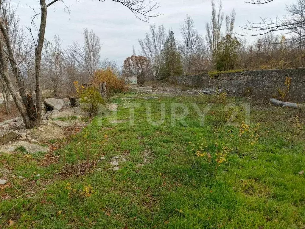 Участок в Орлиновский муниципальный округ, село Тыловое, Лесная улица, ... - Фото 1