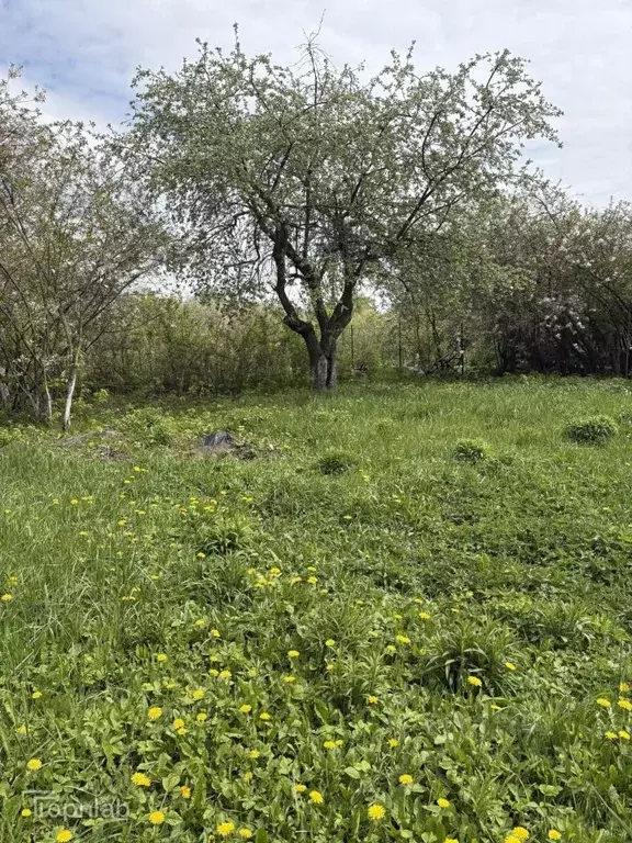 Участок в Рязанская область, Рязань Хиринская ул., 26А (7.19 сот.) - Фото 1