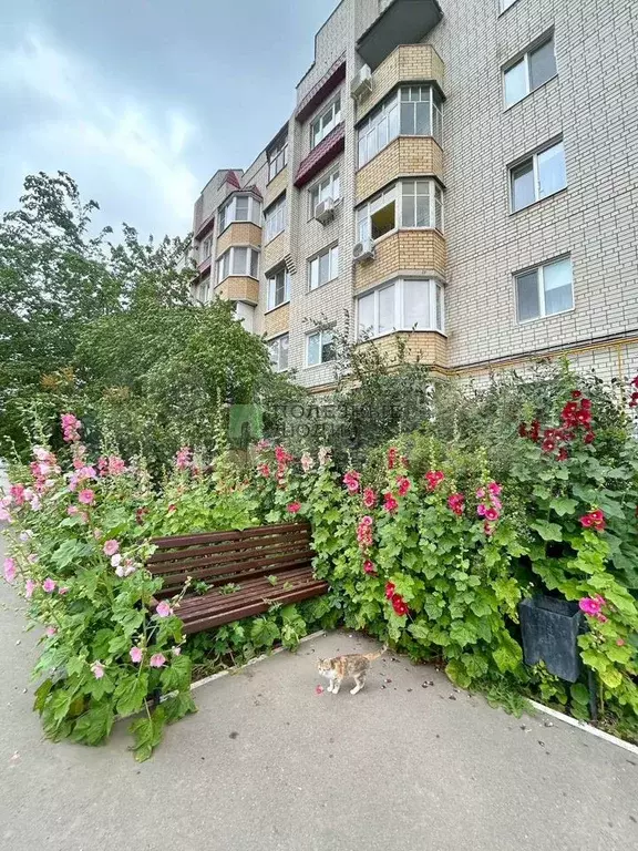 3-к. квартира, 78,8 м, 5/6 эт. - Фото 0