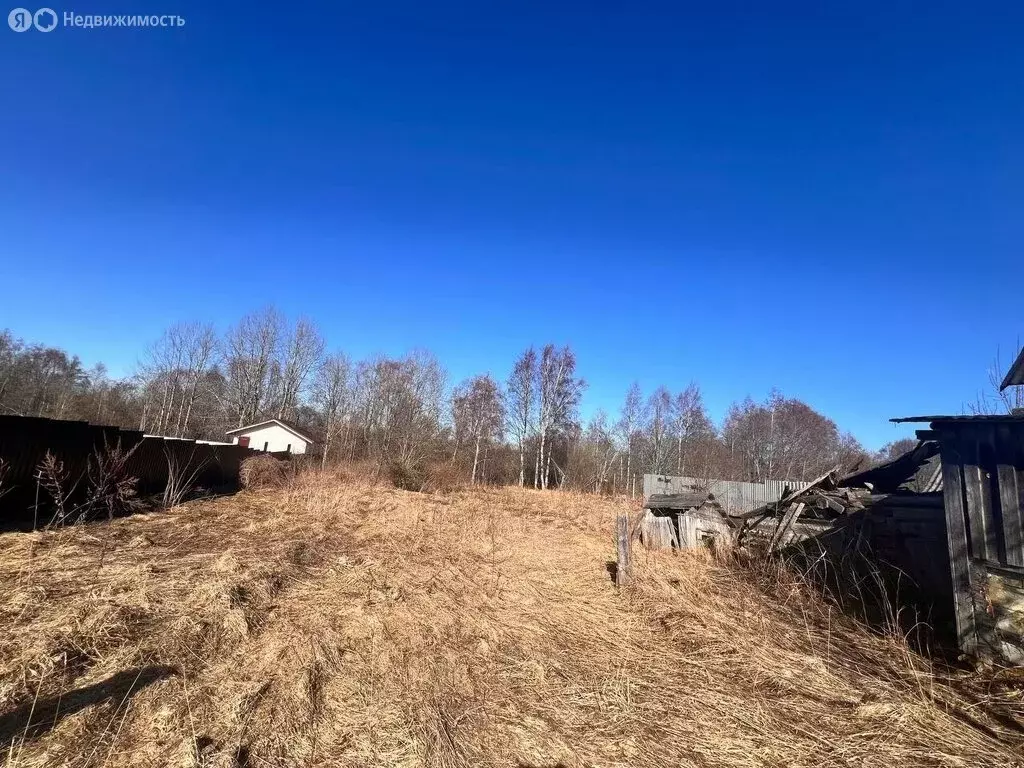 Участок в Кисельнинское сельское поселение, деревня Лавния, 35 (15 м) - Фото 0