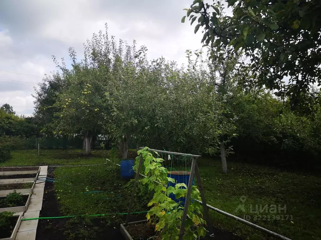 Участок в Тамбовская область, Тамбовский муниципальный округ, Дружба ... - Фото 1