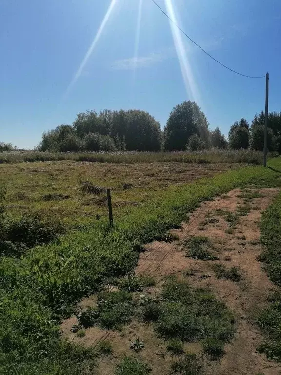 Участок в Ленинградская область, Лужский район, Заклинское с/пос, д. ... - Фото 2