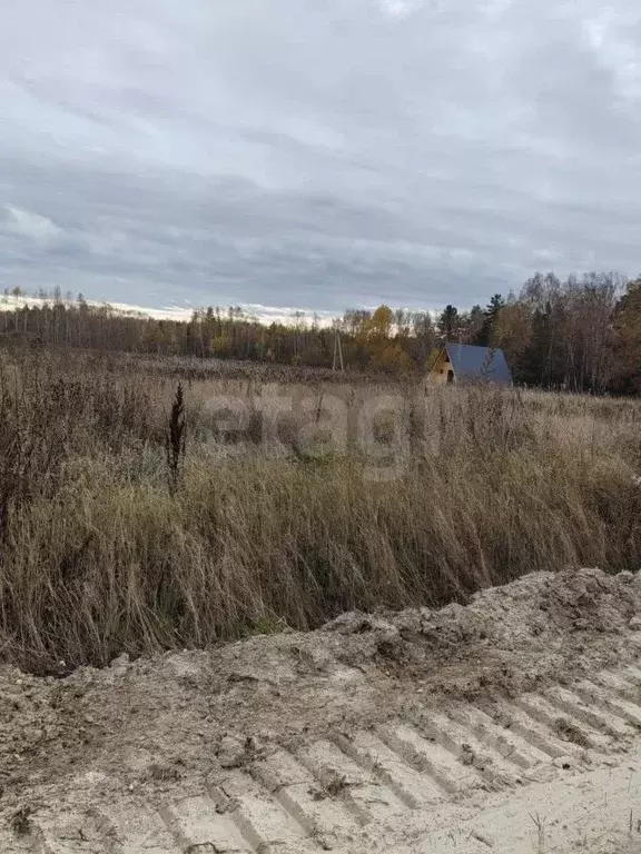 Участок в Тюменская область, Тюменский район, с. Каменка  (1228.0 ... - Фото 0