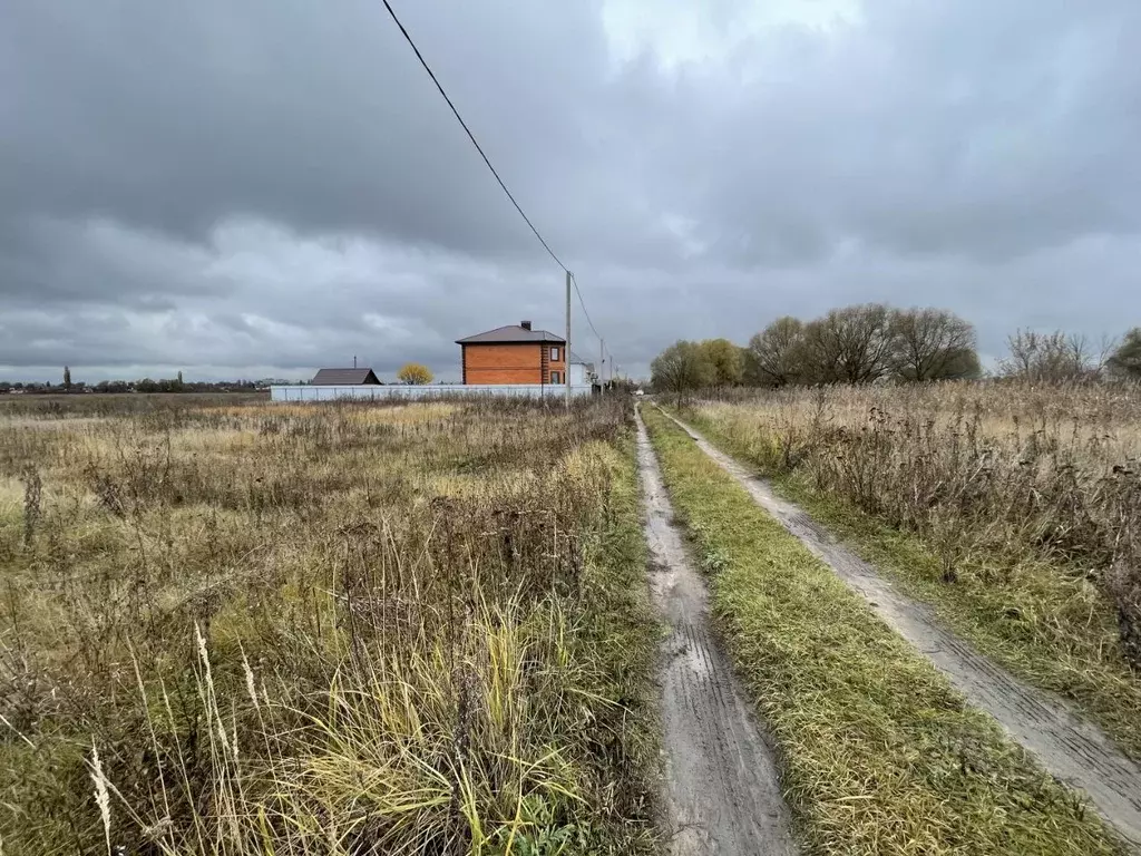 Участок в Воронежская область, с. Новая Усмань ул. Луговая (12.0 сот.) - Фото 2