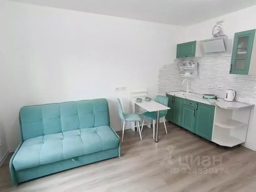 Студия Санкт-Петербург ул. Пахомовская, 14к1 (24.5 м) - Фото 2