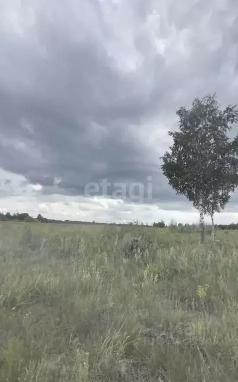 Участок в Владимирская область, Муром д. Коржавино,  (300.0 сот.) - Фото 1