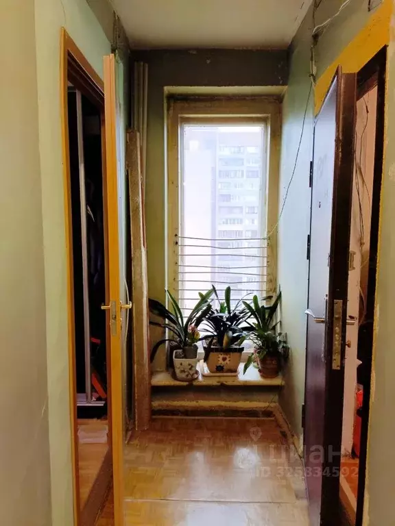 Комната Санкт-Петербург Суздальский просп., 61 (12.0 м) - Фото 1