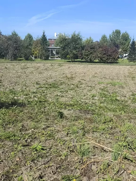 Участок в Алтайский край, Первомайский район, с. Фирсово Набережная ... - Фото 1