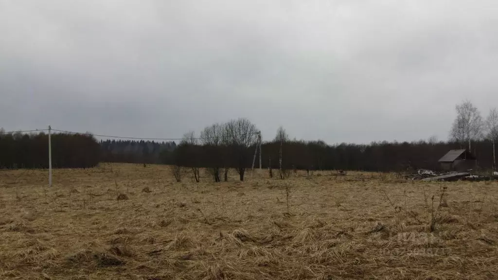 Участок в Московская область, Рузский муниципальный округ, д. ... - Фото 2