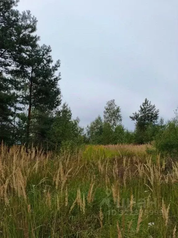 Участок в Московская область, Шатура муниципальный округ, д. ... - Фото 2