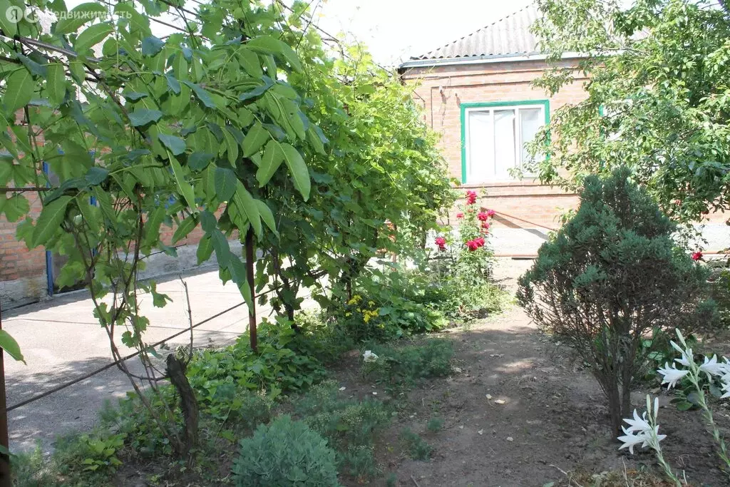 Дом в станица Егорлыкская, улица Ленина (55 м) - Фото 0