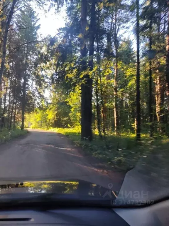 Участок в Ярославская область, Гаврилов-Ямский муниципальный округ, д. ... - Фото 1