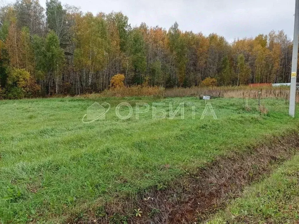 Участок в Тюменская область, Тюменский муниципальный округ, с. Кулига, ... - Фото 2