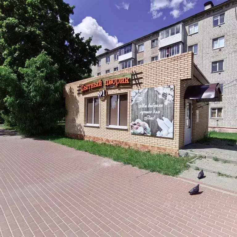 Помещение свободного назначения в Брянская область, Навля рп ул. ... - Фото 1
