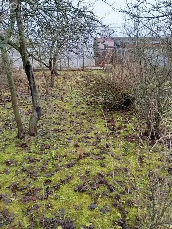 Участок в Ломоносовский район, Лопухинское сельское поселение, деревня ... - Фото 2