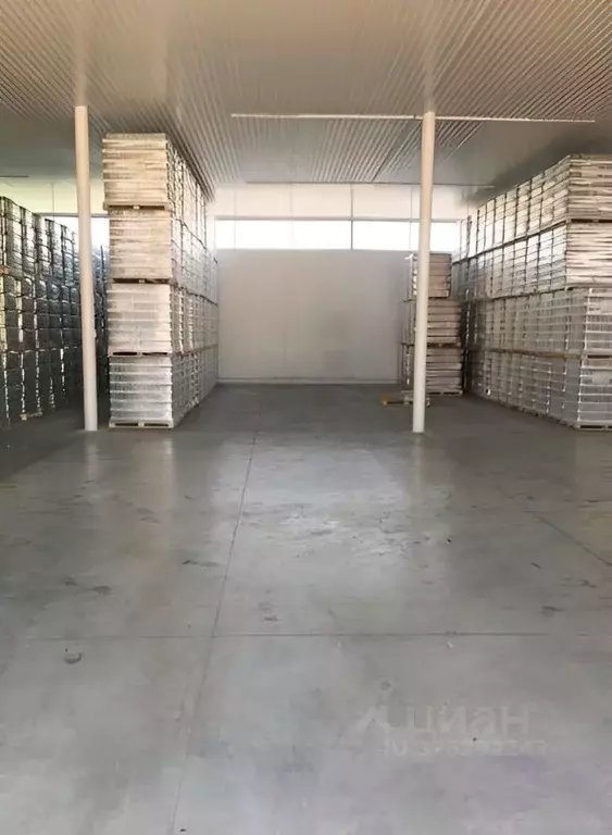 Помещение свободного назначения в Краснодарский край, Краснодар пос. ... - Фото 1