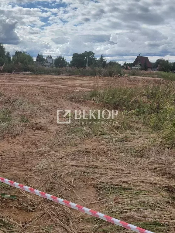 Участок в Костромская область, Костромской район, Шунгенское с/пос, с. ... - Фото 2