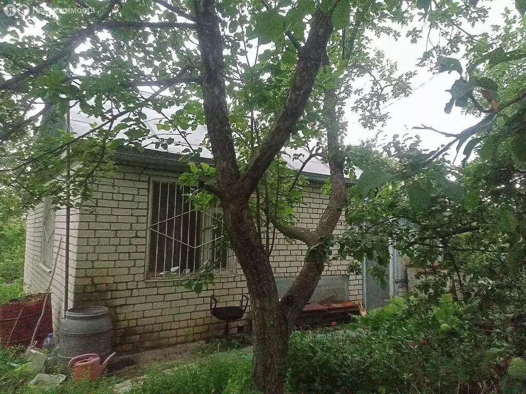 Дом в Нижний Новгород, садовое товарищество Маяк, 590 (55 м) - Фото 0
