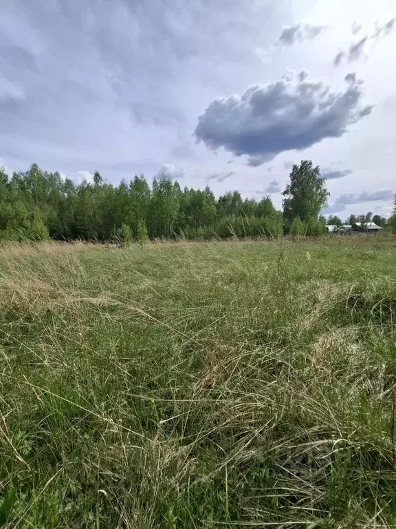 Участок в Московская область, Егорьевск муниципальный округ, д. ... - Фото 0
